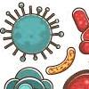 Désinfection Bactéries et Virus
